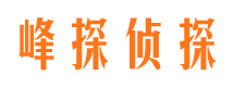 临潭市私家侦探